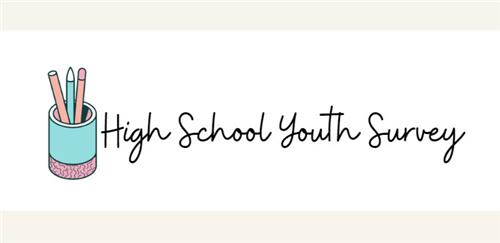 High School Youth Survey